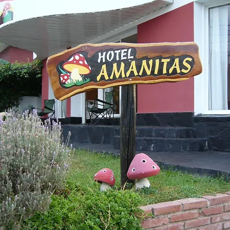 Amanitas Hotel-2